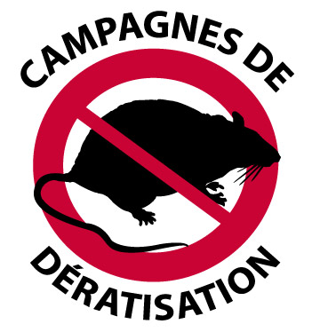 Campagne annuelle de dératisation