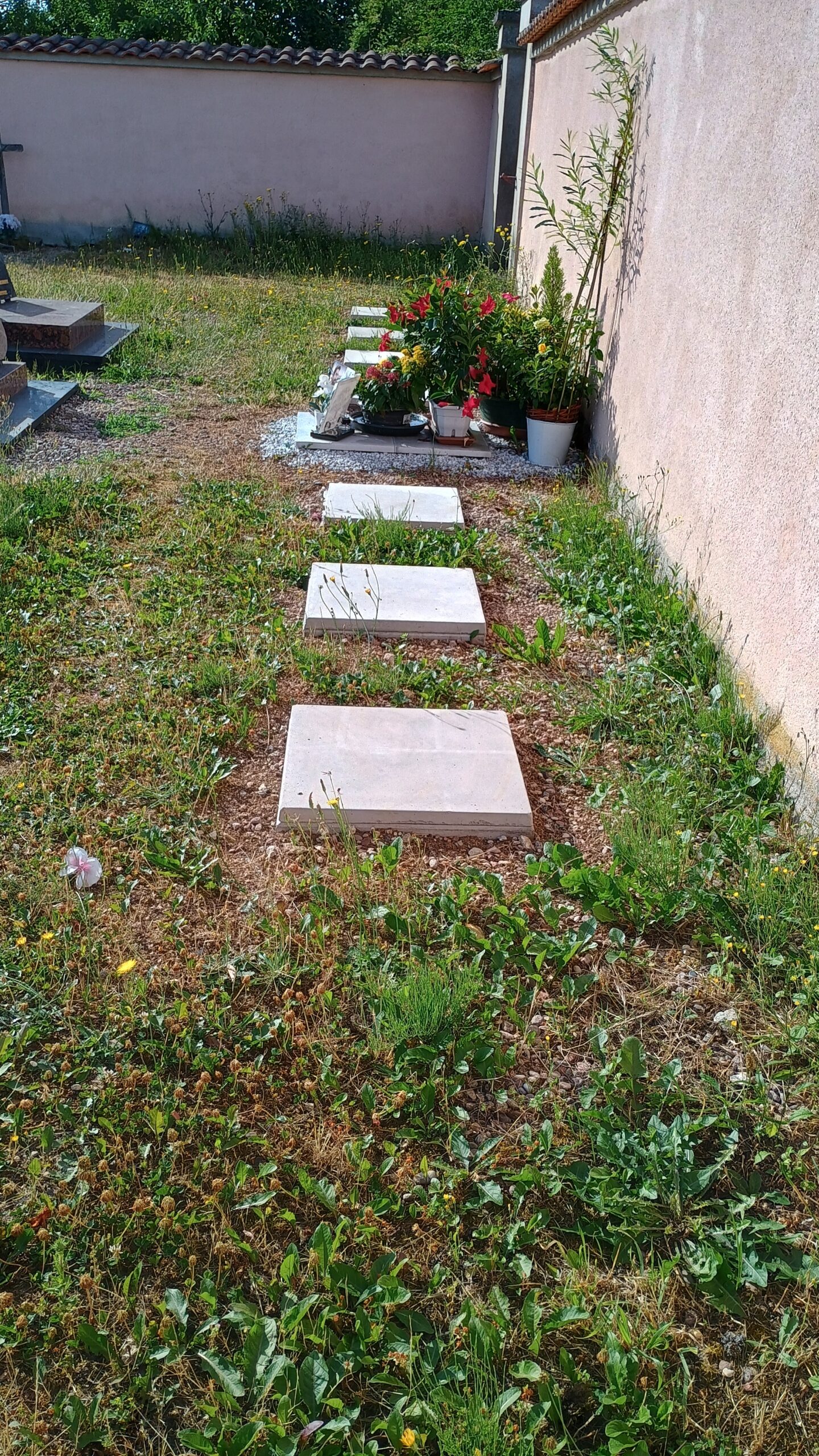 Des cavurnes au cimetière communal Des cavurnes au cimetière communal